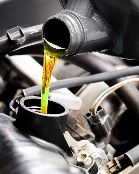 Professional Automotive Service