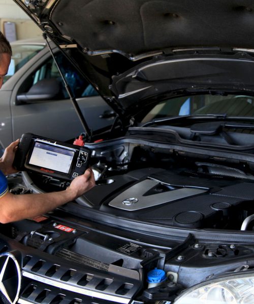 Professional Car Diagnostics Service